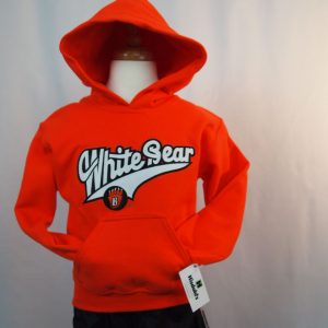 Youth WB Tail Hoodie